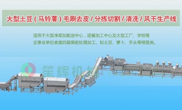 江岸连续式土豆去皮清洗切割风干生产线